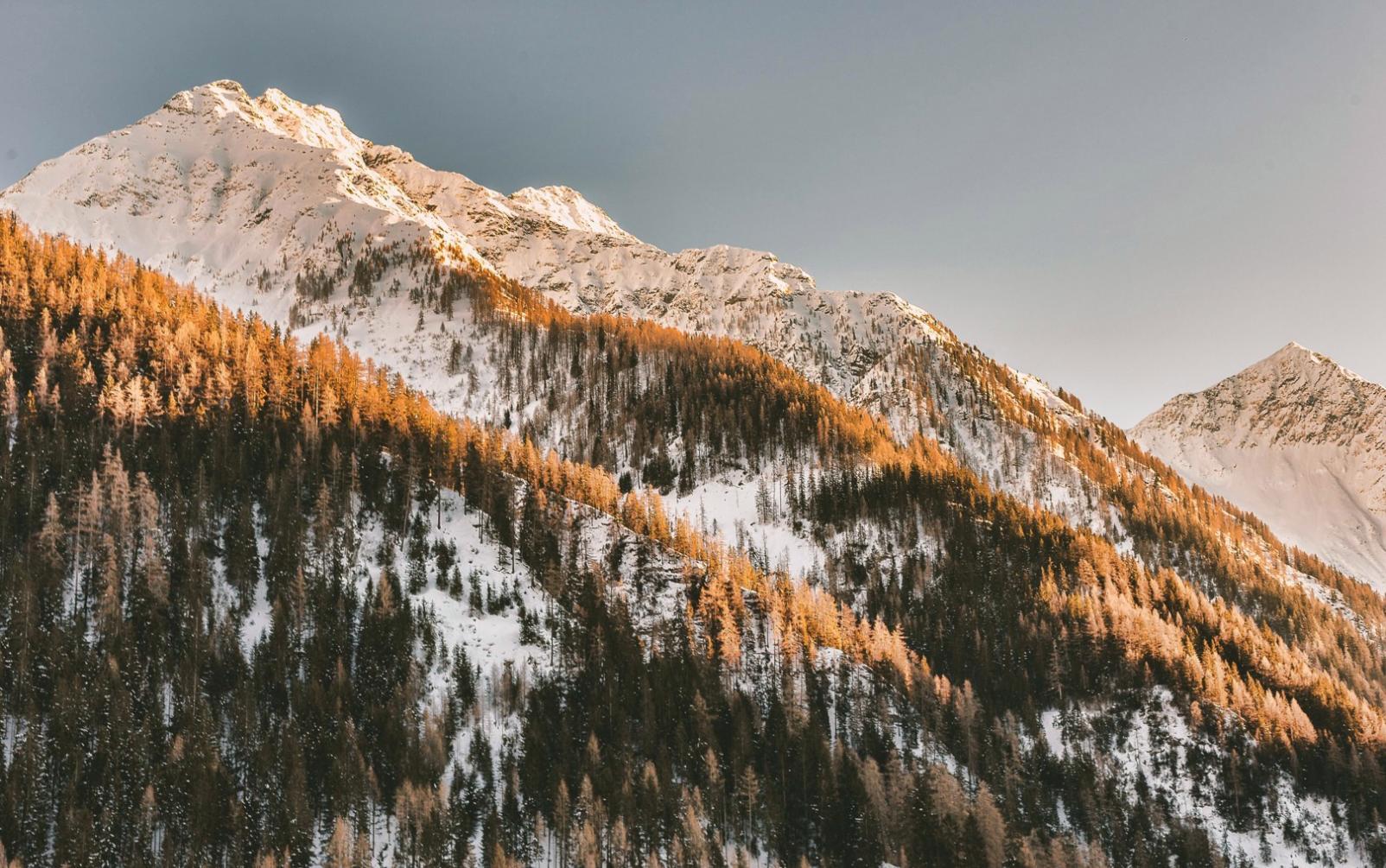 Group tour planning session