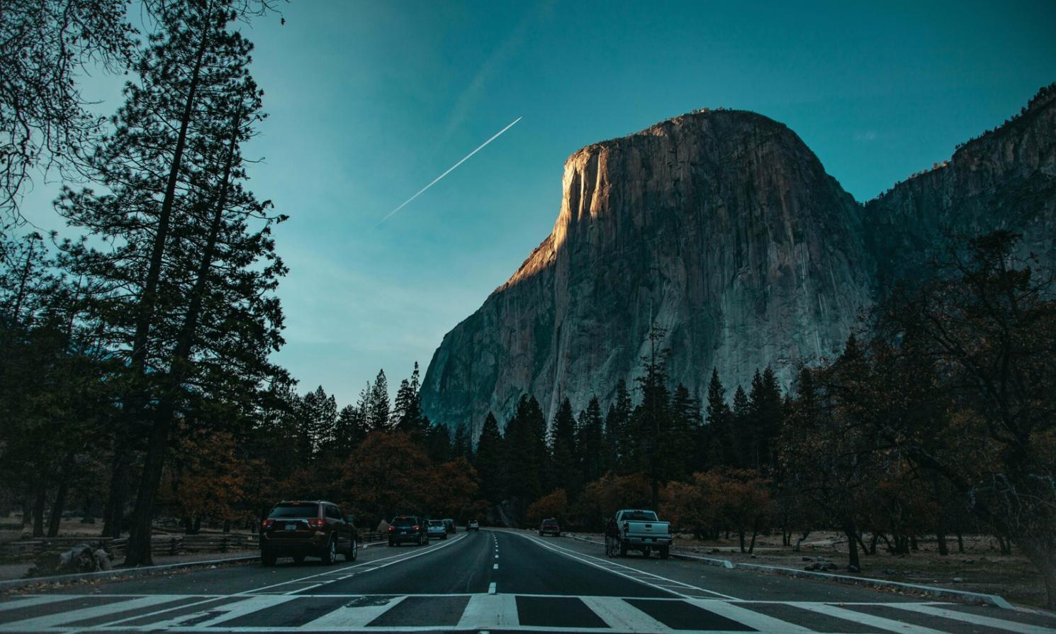 Our team ready to help with your tour coordination needs